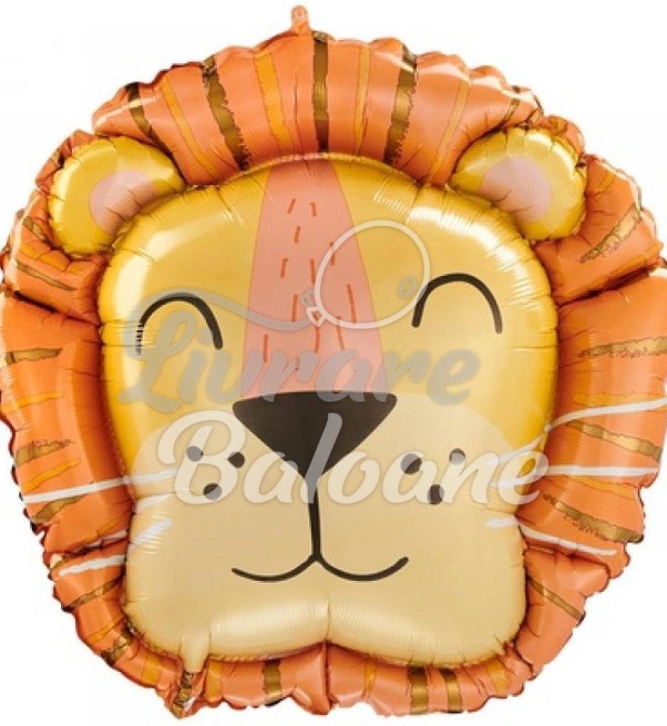 Balon cu Heliu_LEU
