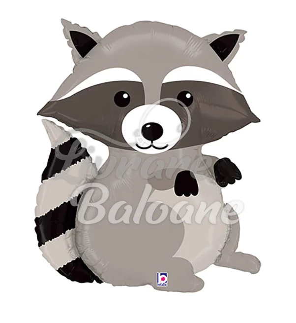 Balon cu Heliu_Raton de Pădure