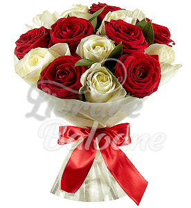 Buchet din 15 Trandafiri Albi-Rosii 60 cm