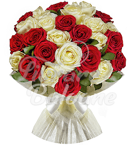 25 Trandafiri Albi-Rosii 60 cm in Buchet