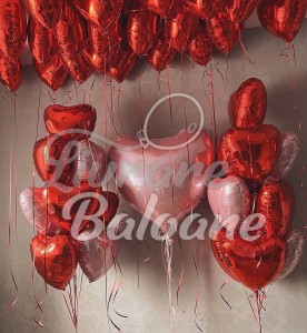 Surprizǎ la Domiciliu cu Baloane Inimi (LB-16064)