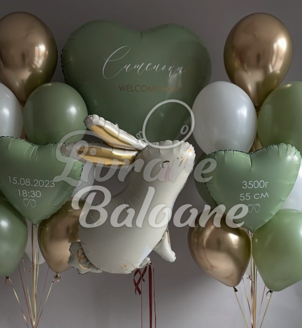 Baloane cu Heliu pentru Externare (LB-14109)