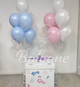 Baloane pentru Petrecere GENDER PARTY (LB-23007)