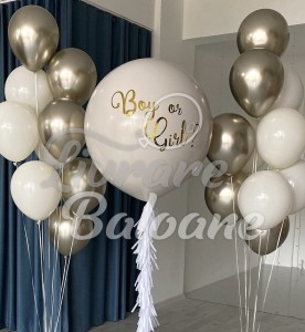 Baloane Personalizate_BOY or GIRL (LB-23008)